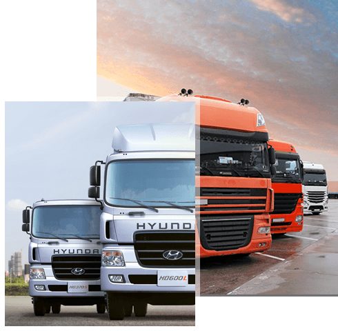 Kho bãi và hoạt động bốc xếp hàng hóa tại NewTransport Logistics